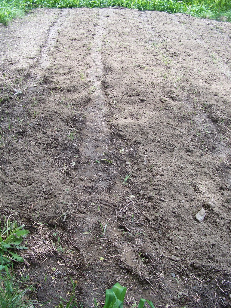 Making Footpaths in the soil