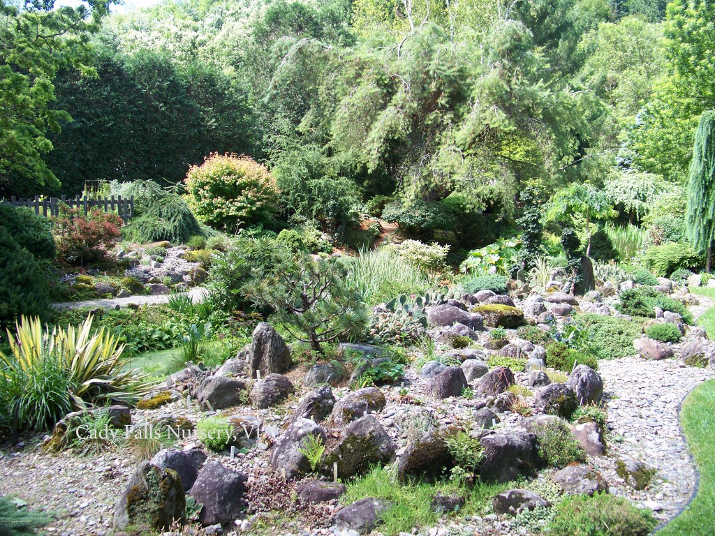 Cady Falls Nursery-Rock Garden