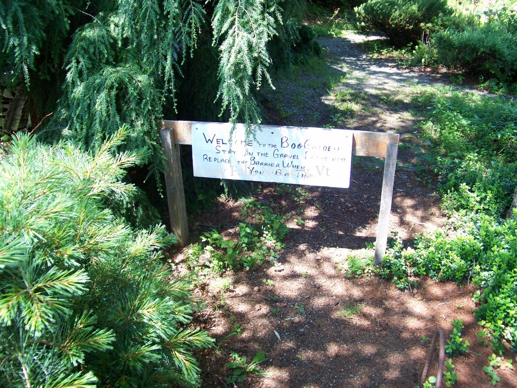 Cady Falls Nursey-Entrance to the Bog Garden