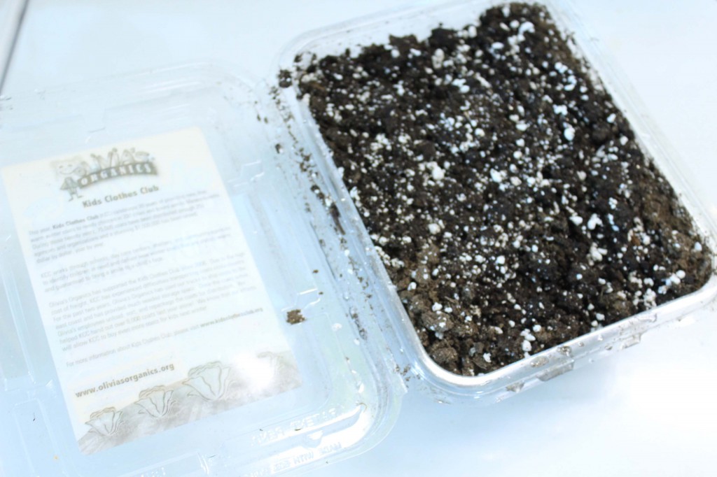 Olivia's Organics Container filled with soil copy