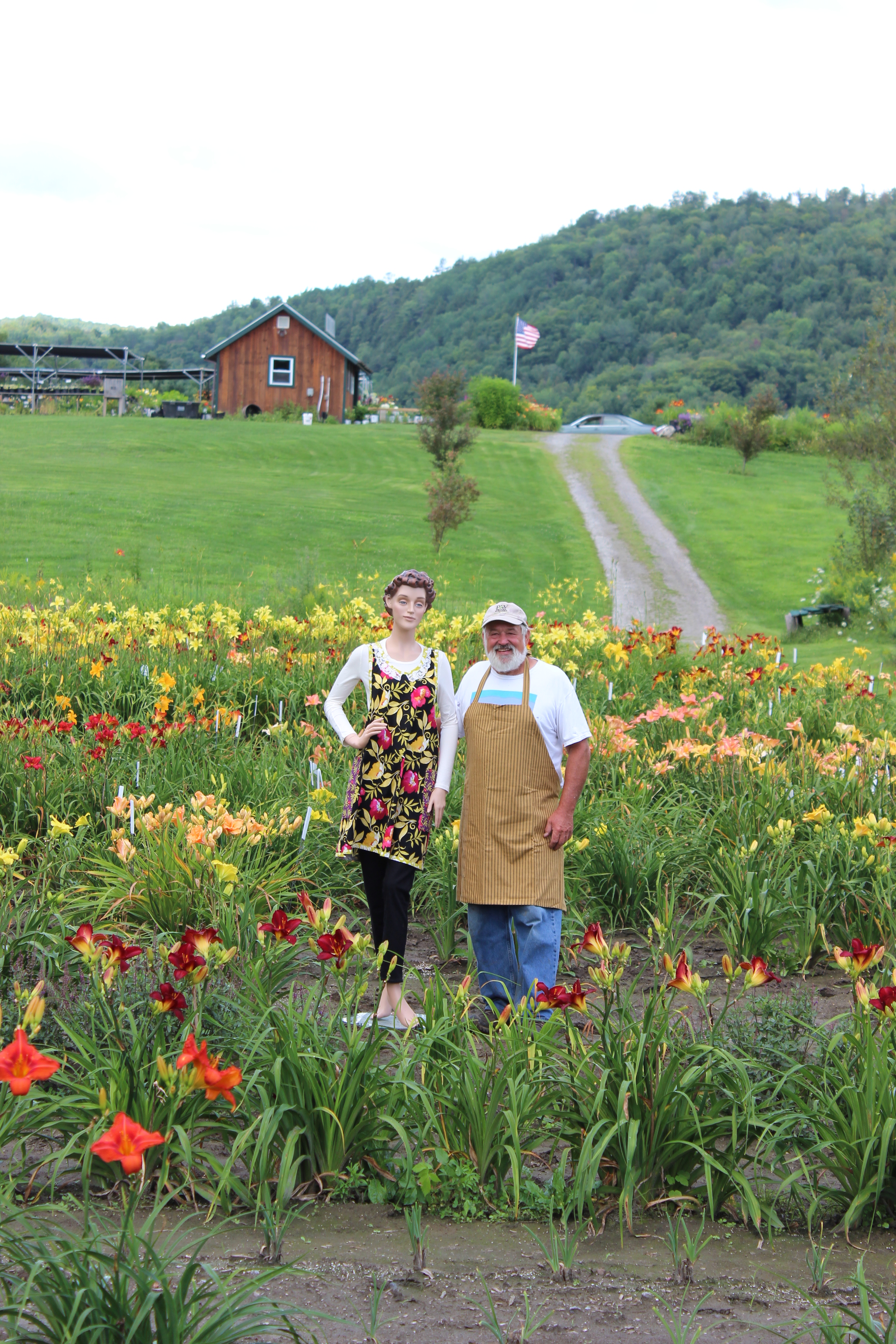The Vermont Flower Farm Daylilies