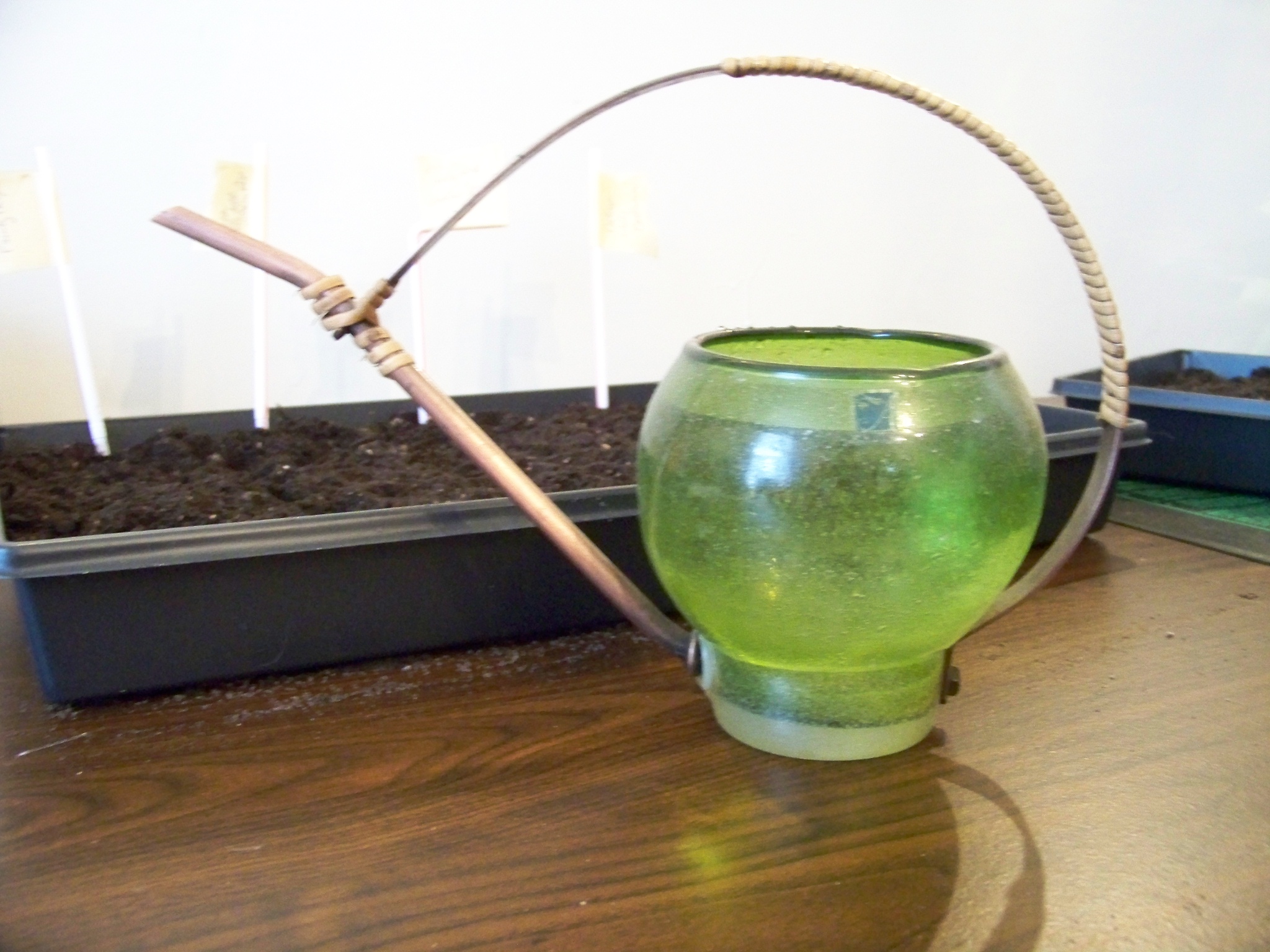 Watering Bowl The Apron Gazette